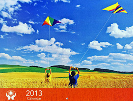 Teldon 2013 Calendar